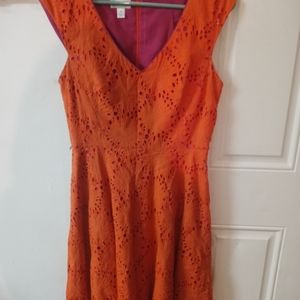 ladies dress